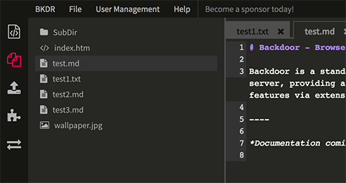 BKDR | Backdoor Code Editor